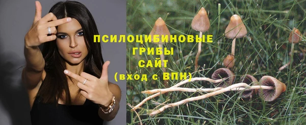 гашиш Белокуриха